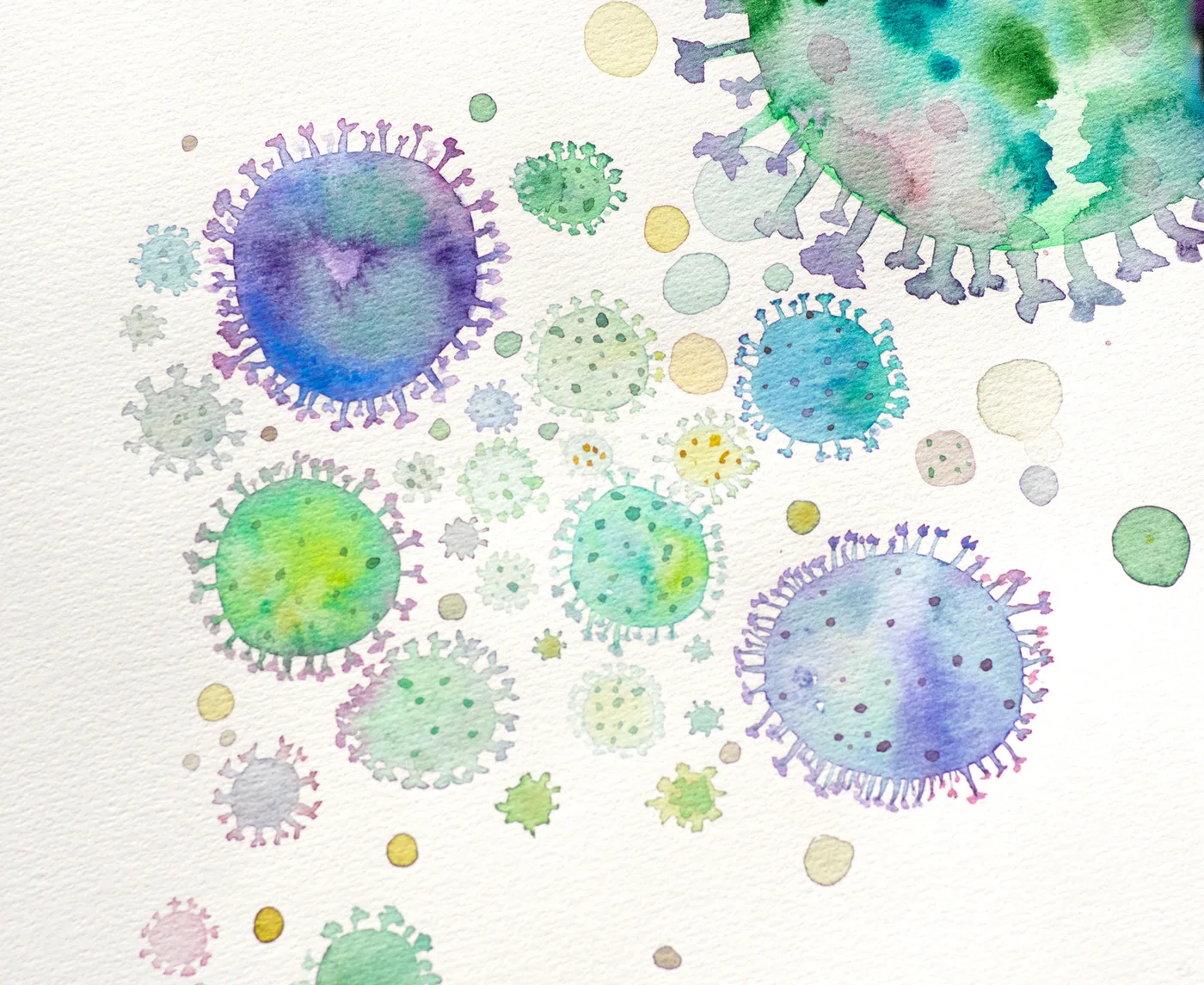 Bacteria The Aesthetic Surgery | Durgam