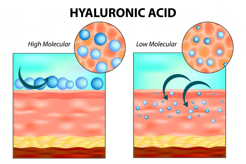 Molecules of Hyaluronic Acid Skin Booster. The Aesthetic Surgery | Durham